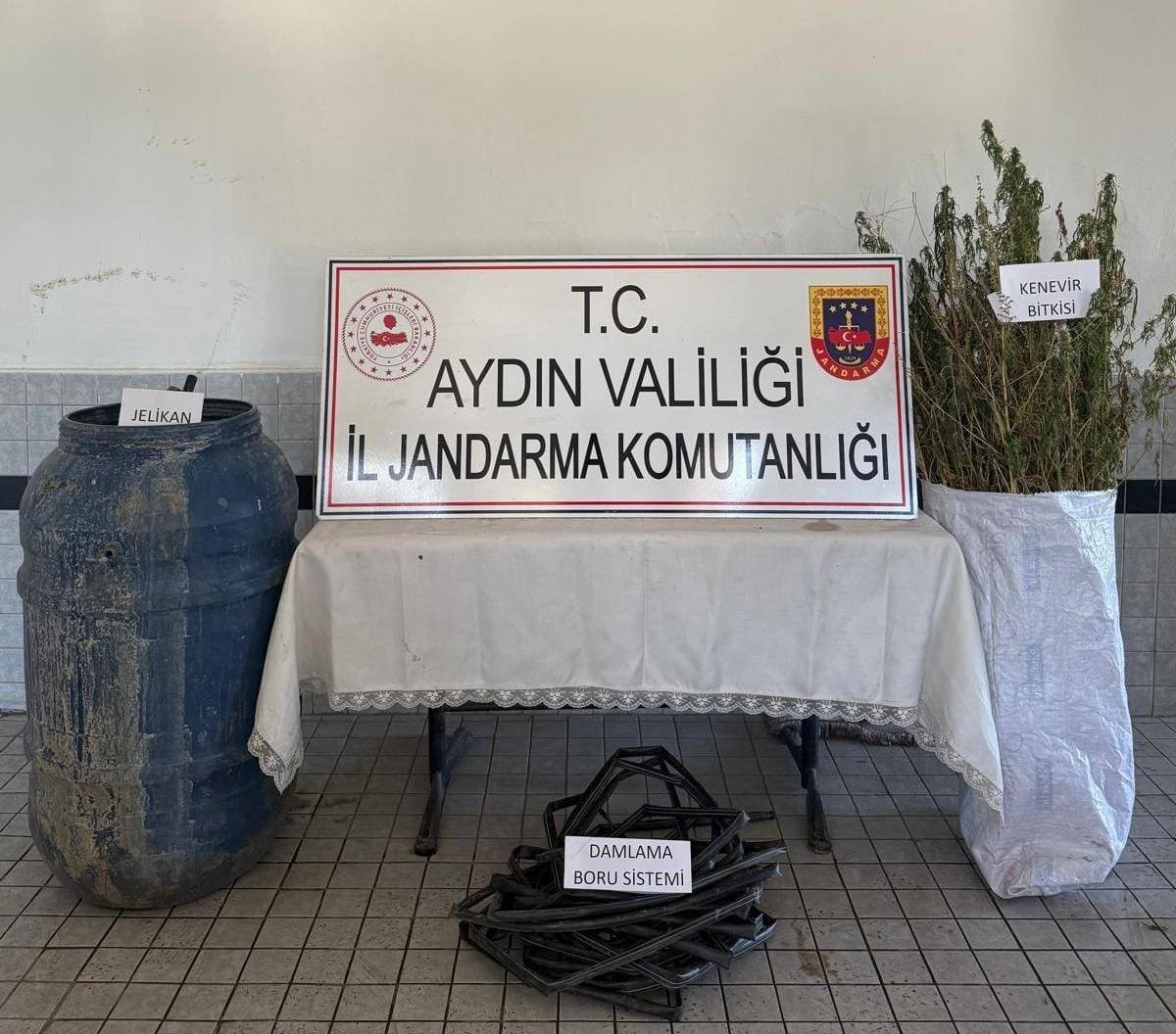 40 kök kenevir ele geçirildi