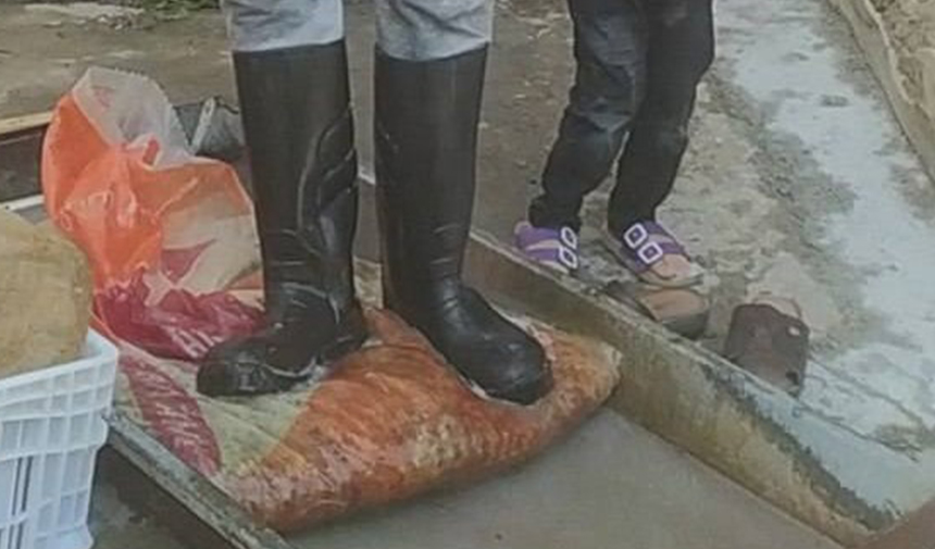 Aydın’da pekmez yapım sezonu başladı