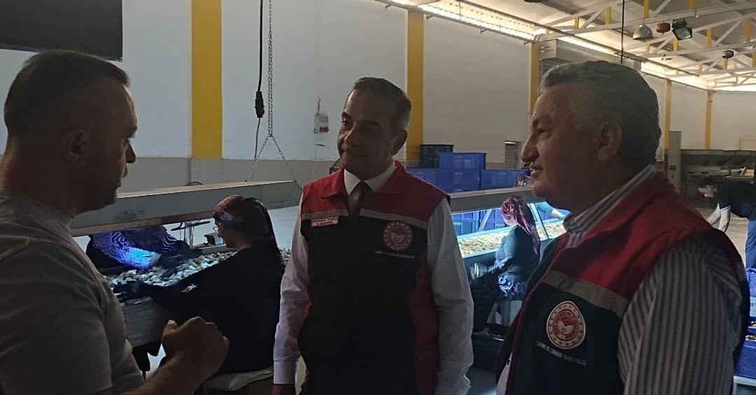 Aydın’da incir depoları denetlendi