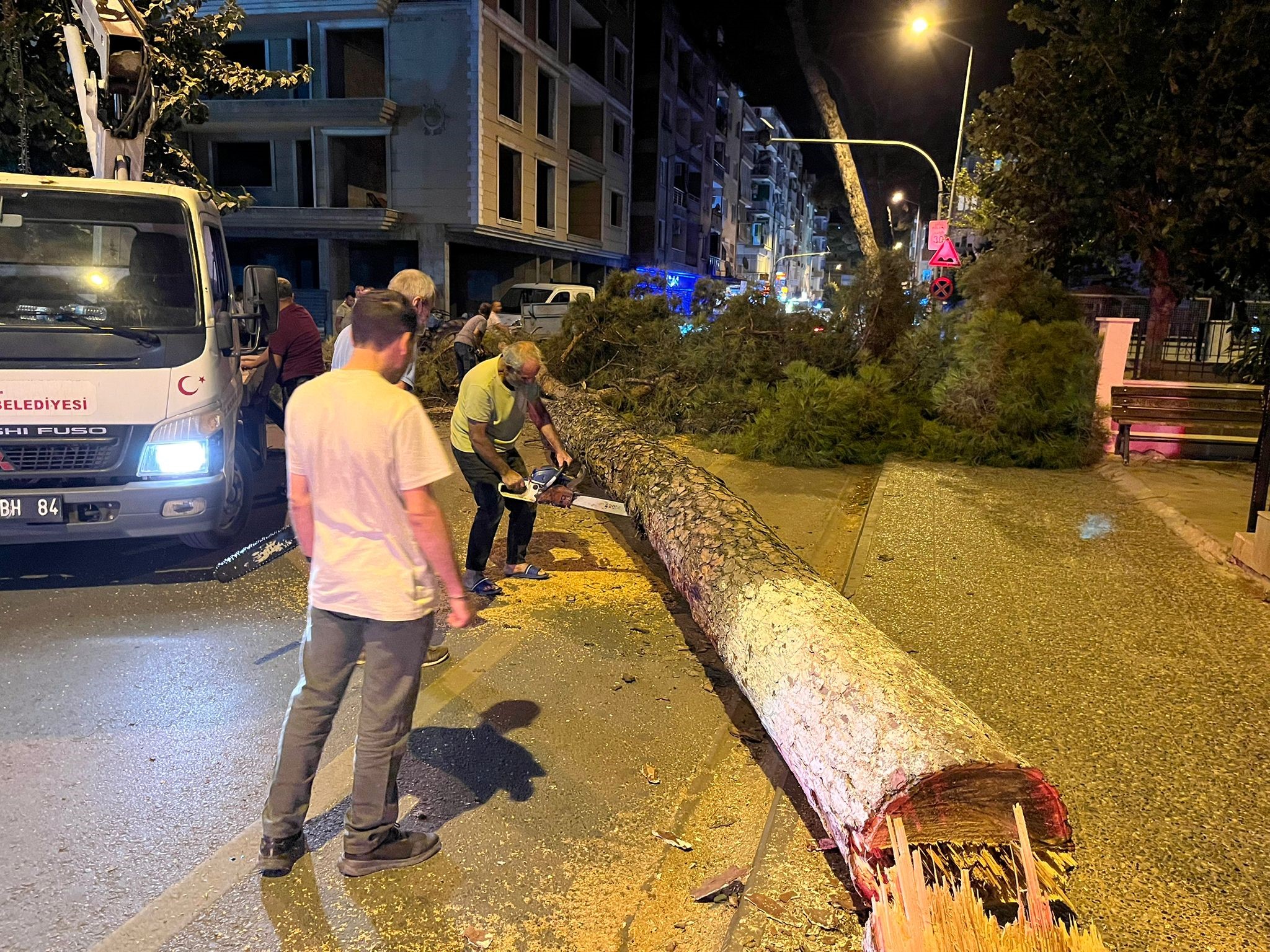 Çam ağacı kuvvetli rüzgara dayanamadı