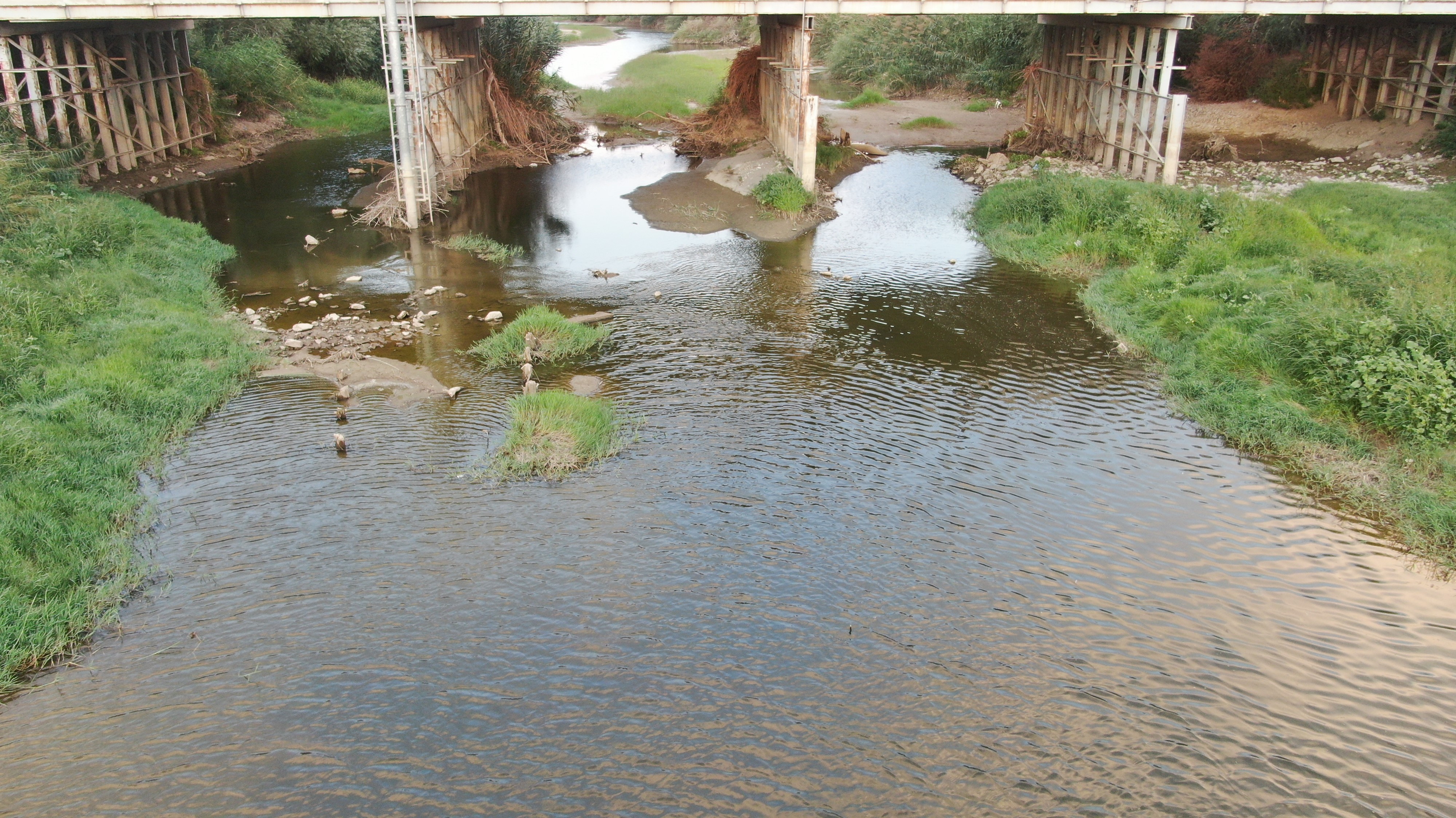 Menderes nehrinde kuraklığın etkileri sürüyor