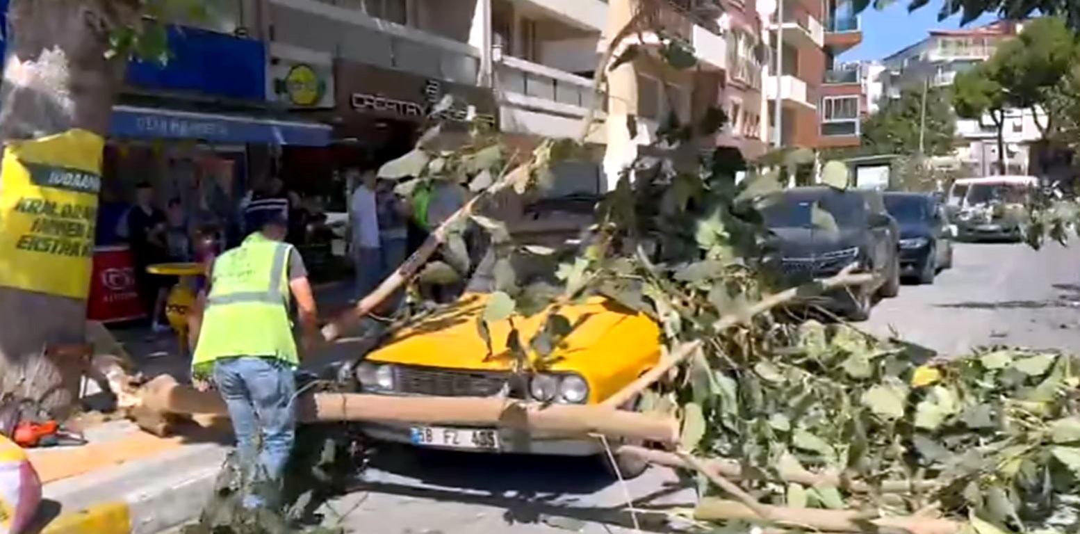 Ağaç dalı park halindeki aracın üzerine düştü