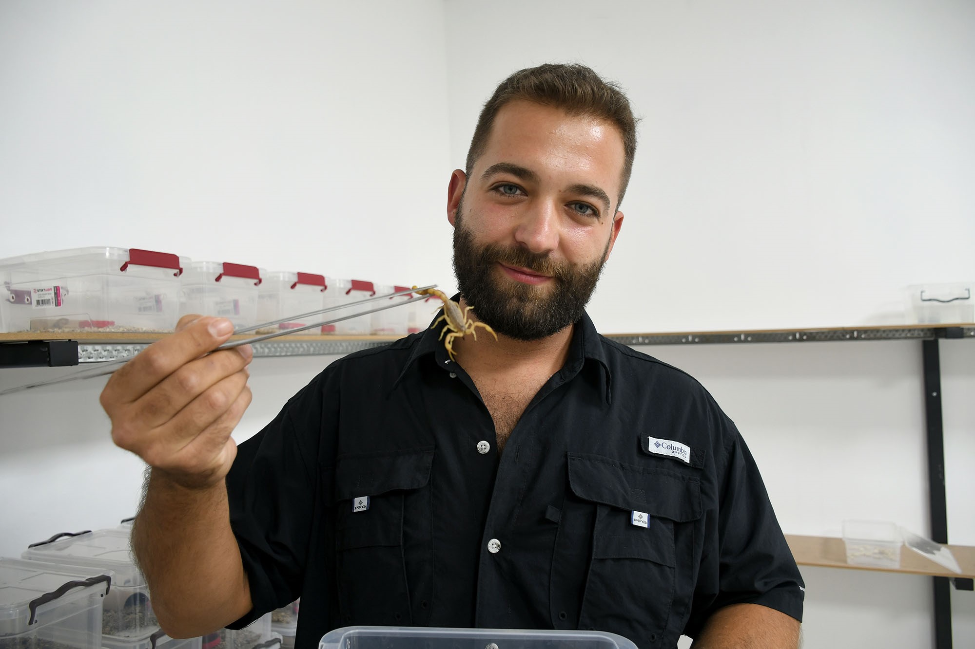 Aydın'da 750 akrepten 4 ayda 4 bin yavru elde etti