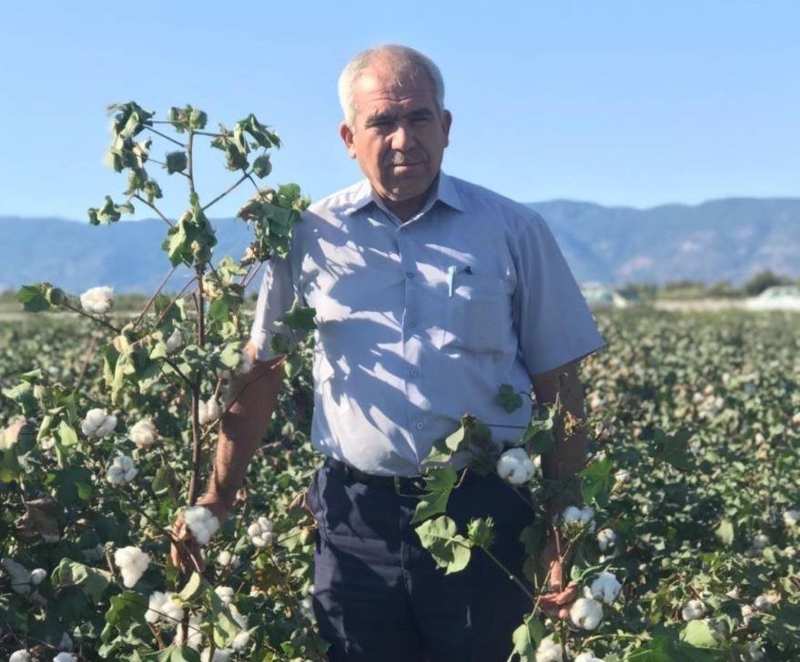Söke Ziraat Odası Başkanı Tanyeri: 40 liranın altı pamuk üreticisinin sonu olur