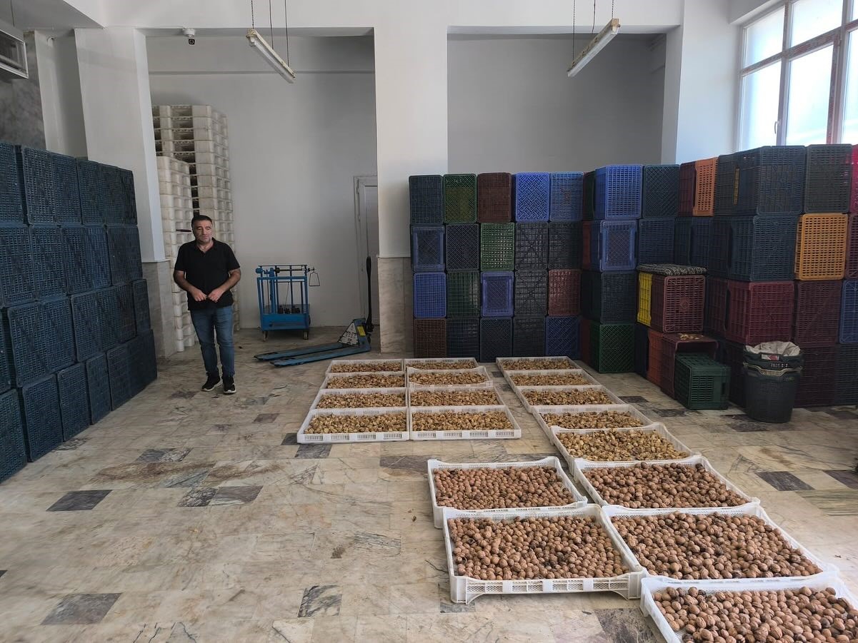 Kuru incir depolarına sıkı denetim