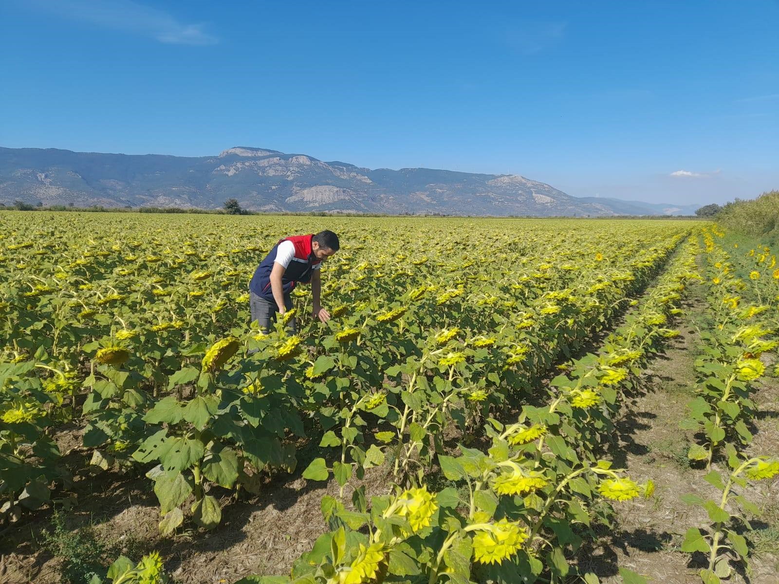 2025 yılı destekleme ürün çalışmaları yapıldı