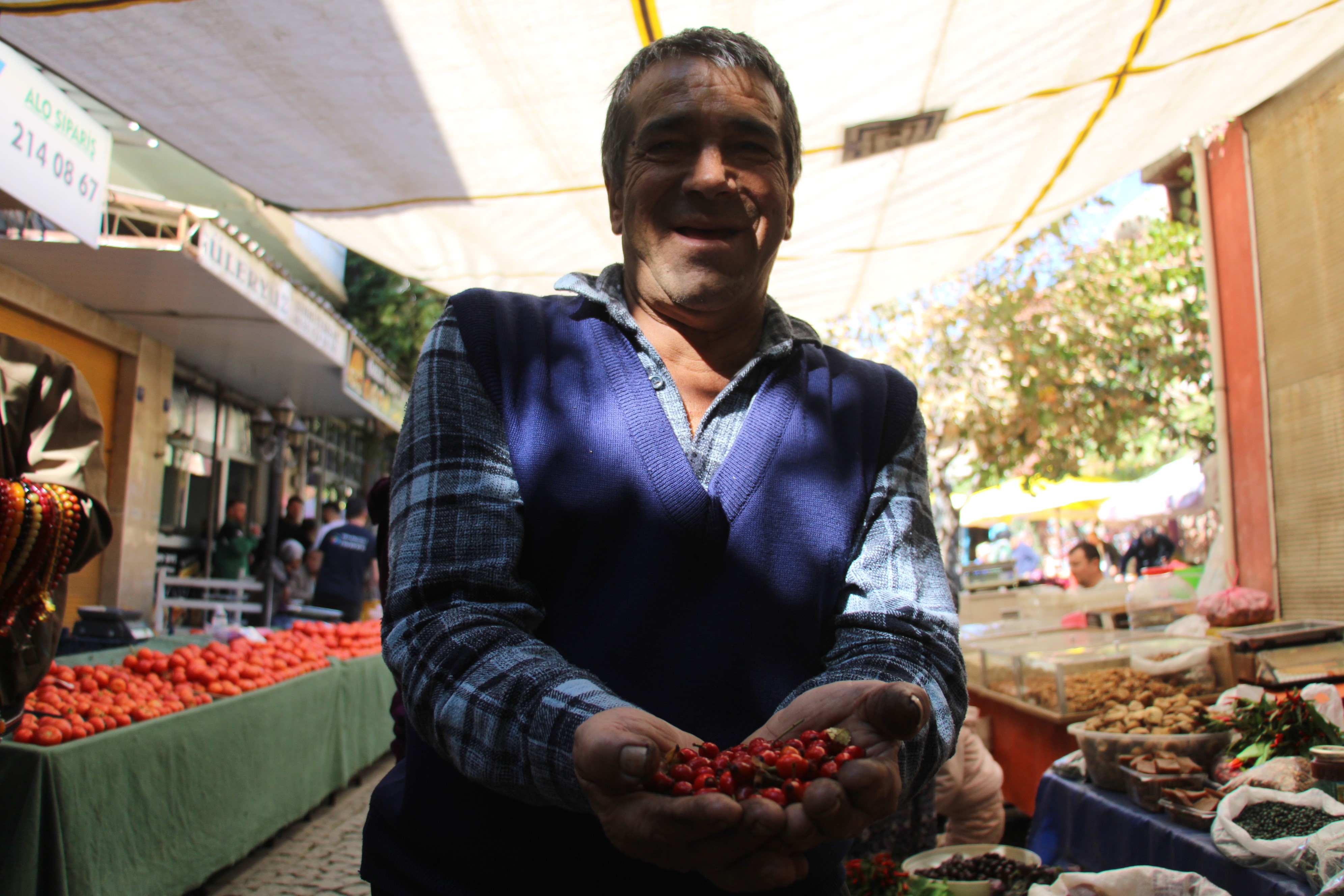 Dikenlerin arasında zahmetle toplanan kuşburnuna rağbet arttı