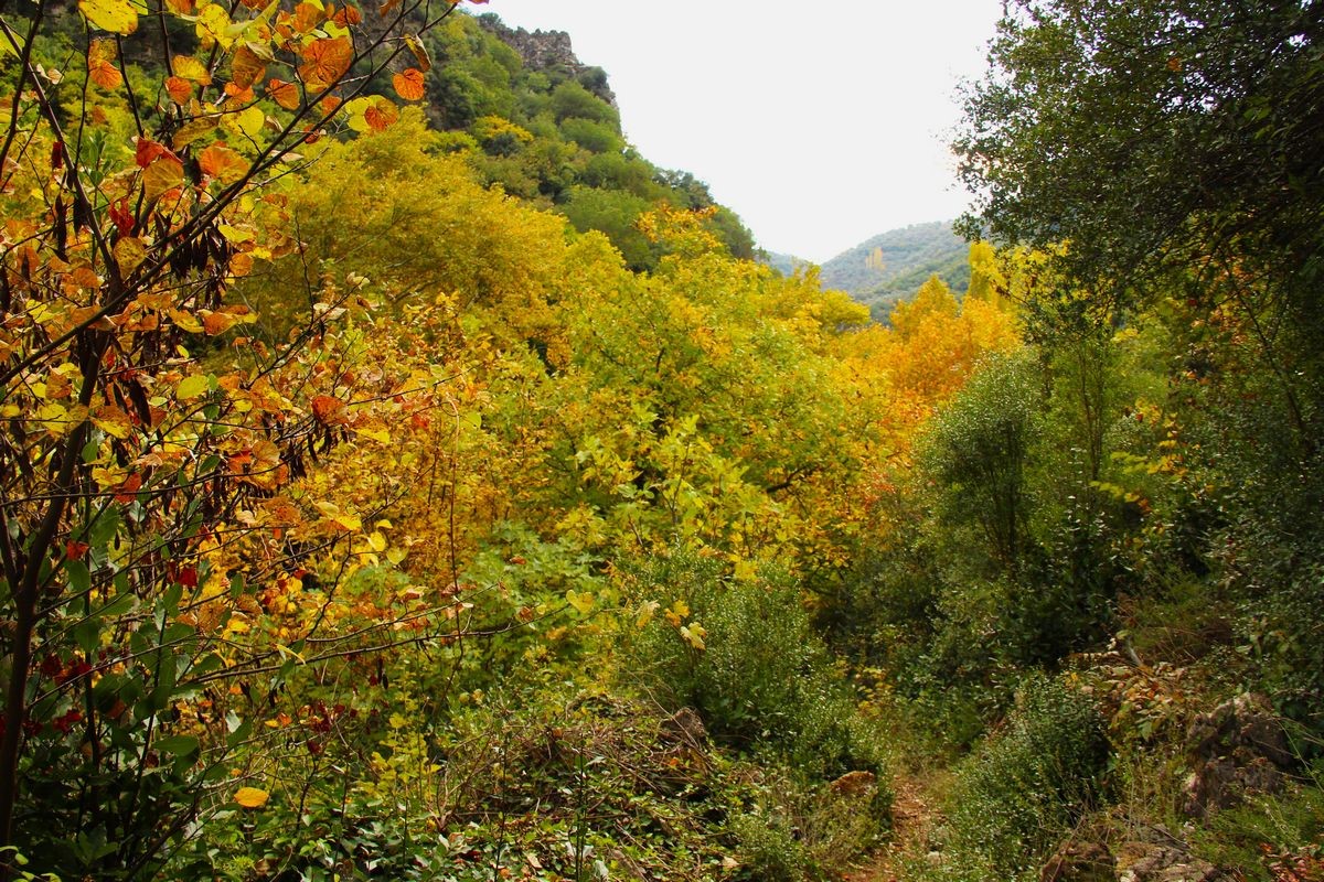 Sonbaharın güzelliğine bürünen Koçak Kanyonu'na dikkat çektiler