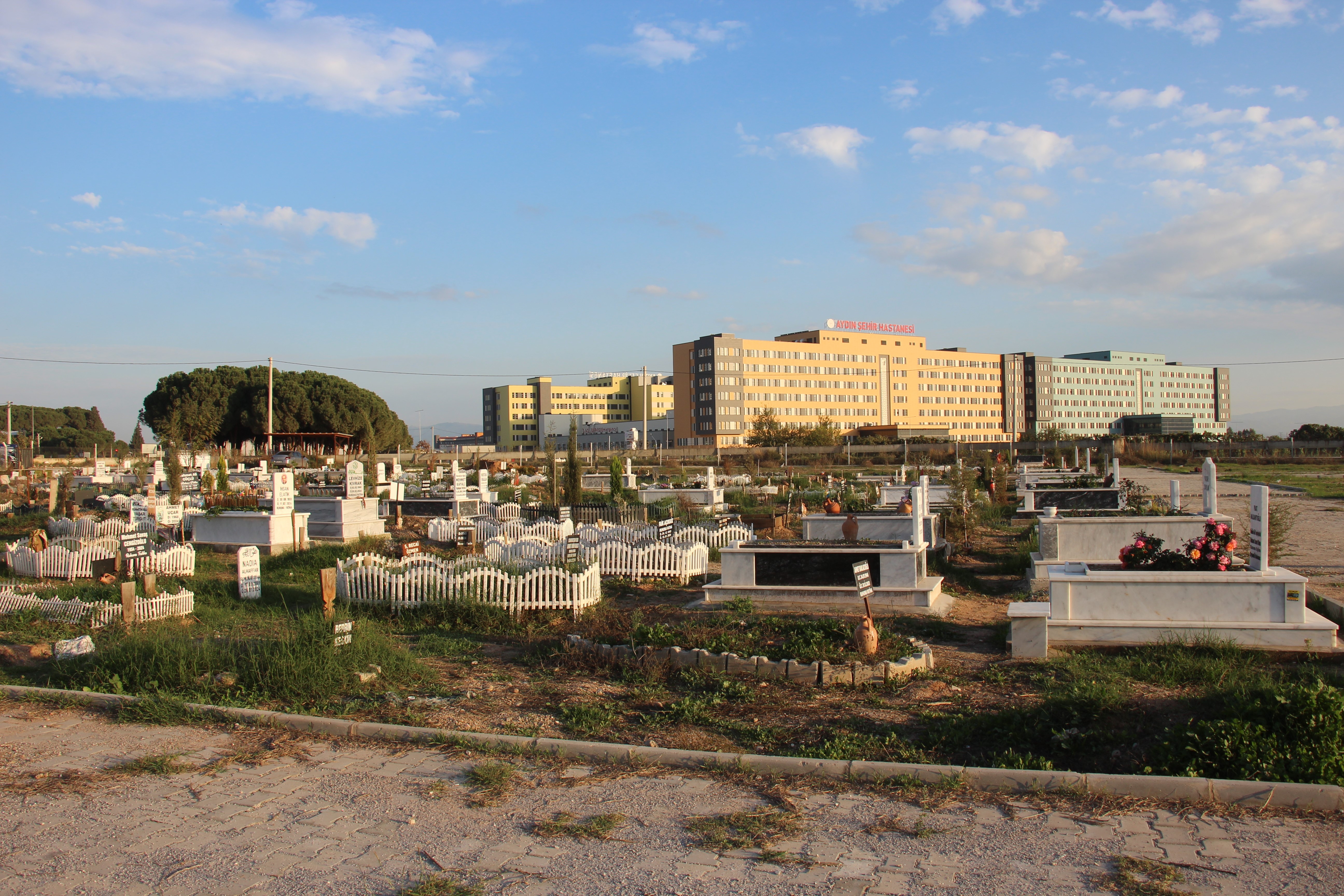 Efeler'deki mezarlık yeri karmaşasına son noktayı yargı koydu, karar iptal edildi