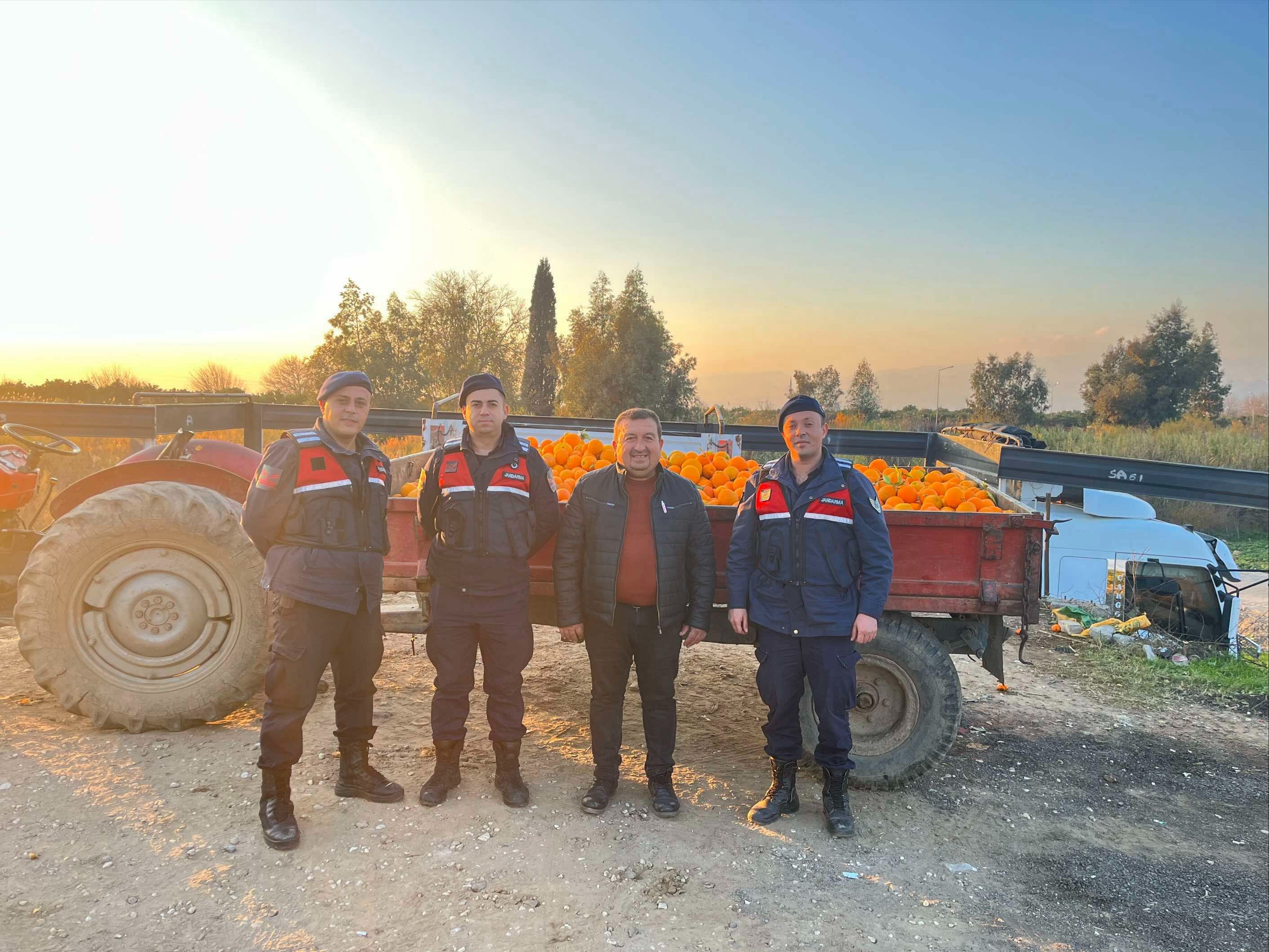 Nazilli’de 1,5 tonluk portakal hırsızlığı jandarmaya takıldı