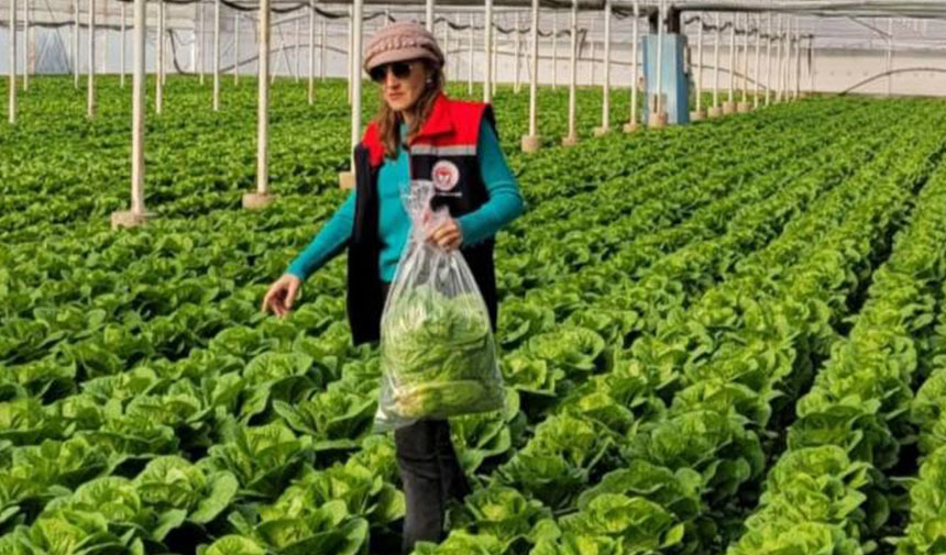 Sağlıklı gıda için pestisit denetimi