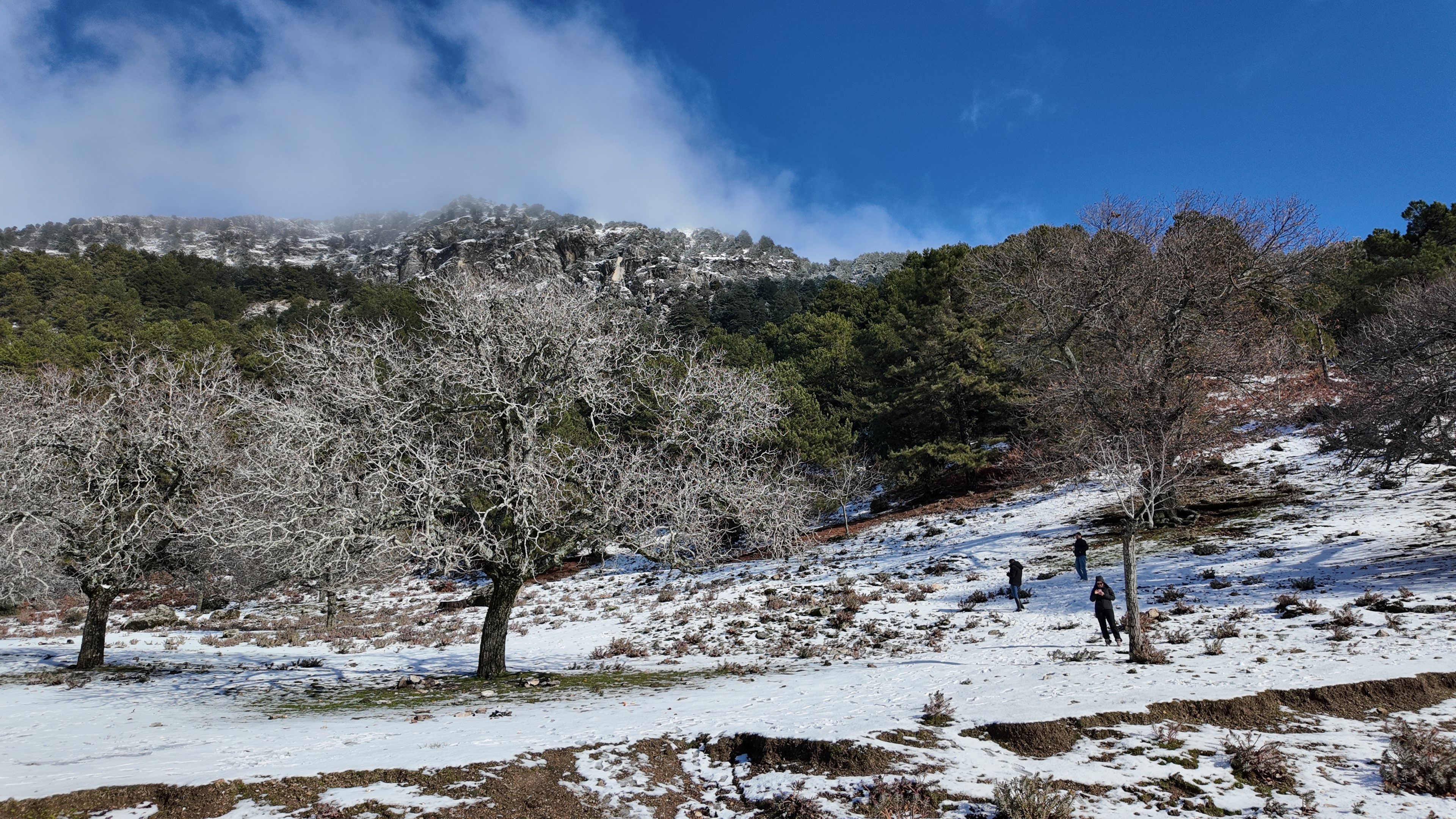 Paşa Yaylası'nda kar keyfi