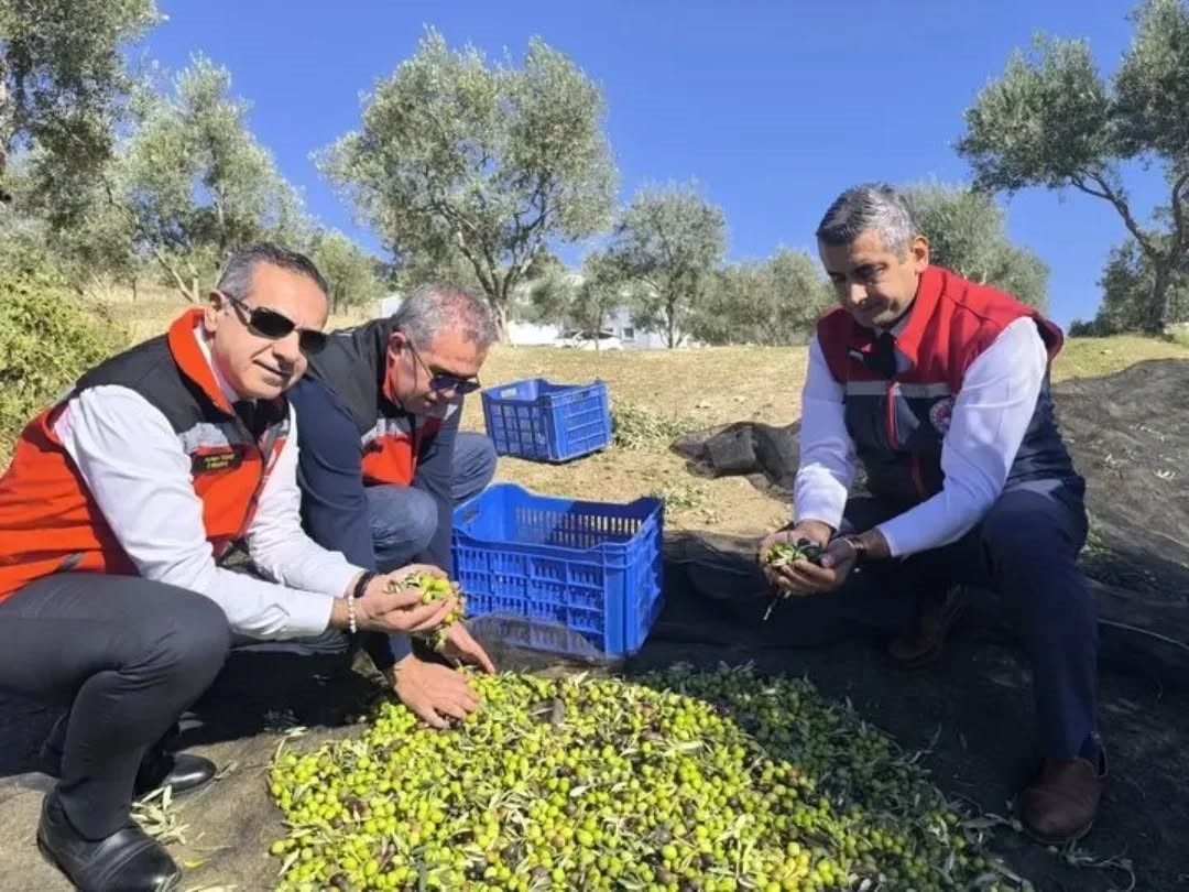 Aydın'da bir yılda 3 bini aşkın tarımsal denetim yapıldı