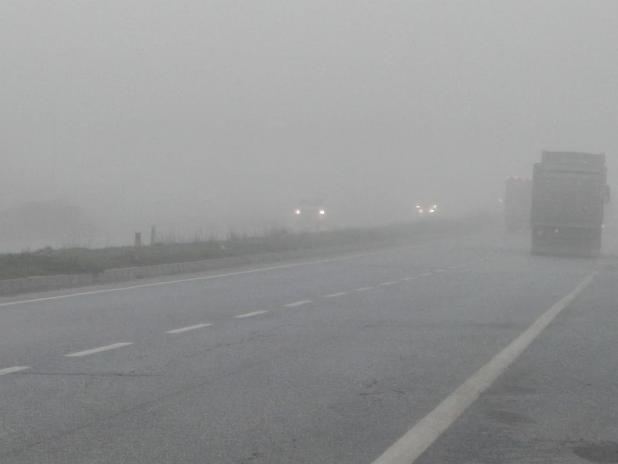 Aydın'da sis sürücülere zor anlar yaşatıyor